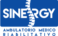 Sinergy Casalmaggiore Logo