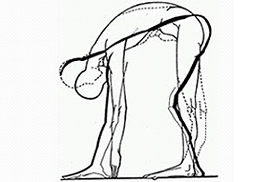 Terapie - terapia manuale - metodo souchard